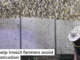A biologist maintains a large population of black soldier flies for protein farming. picture alliance/Contributer via Getty Images